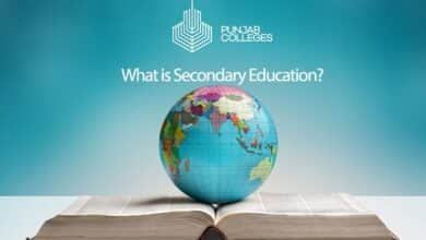 what is higher secondary education