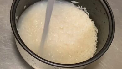 water to rice ratio rice cooker